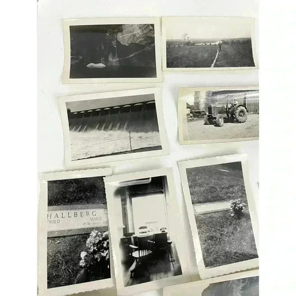 VTG 27 B&W Photographs Travel Animals Wildlife Grave Cars Farming 40's Ephemera - Picture 2 of 16